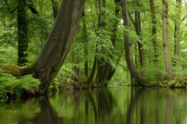 P8667P Twickelervaart in Twente